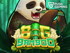 Casino bingo online4